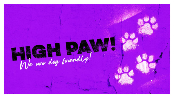 Dogs are welcome