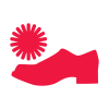 Shoe shine machine